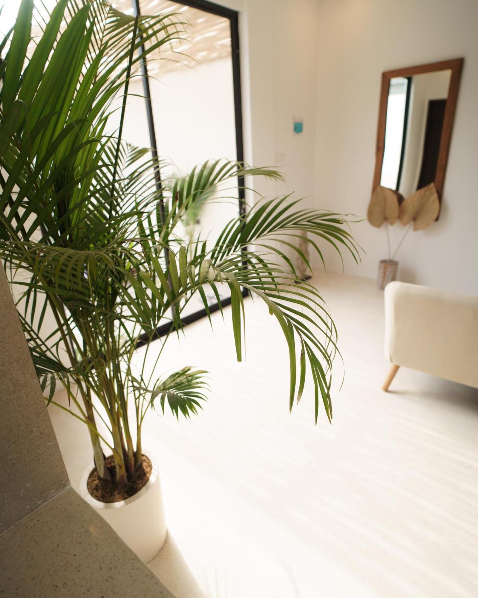 Bikini Bottom - Beautiful 2Br Villa In Umalas Canggu Екстериор снимка